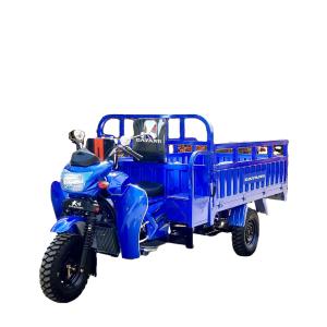300cc Petrol Gasoline Motorized Cargo Tricycles 3wheels Motorcycle Customized 5