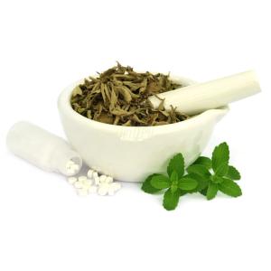 Lose Weight Food Grade 95% Stevia Leaf Extract Powder