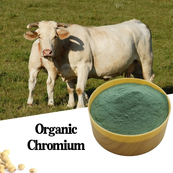 Chromium Picolinate Powder Protein Organic Chromium Feed Additives To Improve Sow Fertility