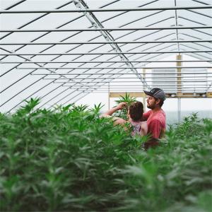 100% Shade Net Tunnel Agriculture Black Film Light Deprivation Greenhouse