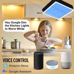 Create a Natural Environment with Artificial LED Skylight 75W Cct 2100K-7800K