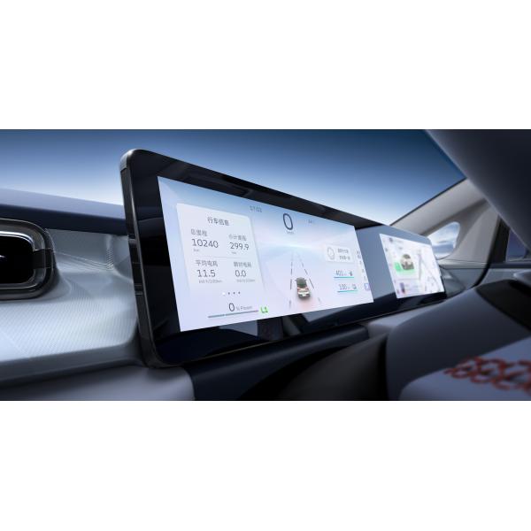 Geometry E Electric Car High Speed and Long Range with Lithium Iron Phosphate Battery