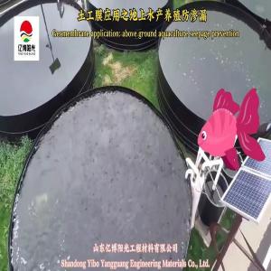 100% Virgin HDPE 0.2-2.0mm Geomembrane for Fish Pond Liners and Aquaculture
