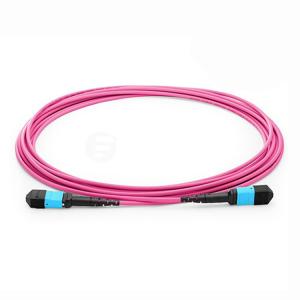 OM1 OM2 OM4 Multimode MM MPO MTP Trunk Cable
