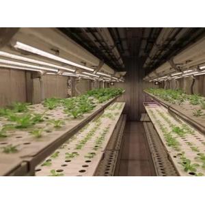 Leafy Vegetable Shipping Container Garden with Shaped Roof and Customization