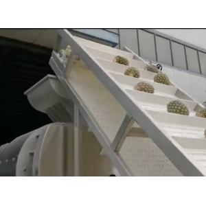 pineapple juice extract machine , pineapple skin remover, pineapple peeler