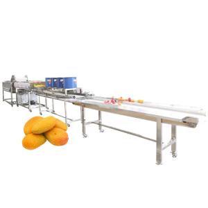 China Commercial Full Automatic Sorting Cutting Washing Drying Line Machine Industrial Fruit And Vegetable Processing Machinery on sale