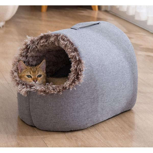 kitten cave
