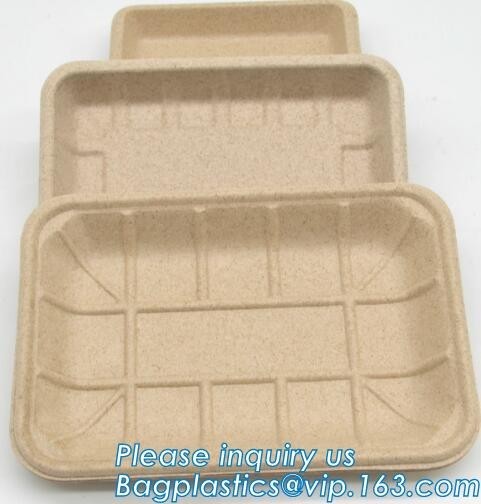 FDA CERTIFICATE BIODEGRADABLE WHEAT STRAW PLATE, Dinner Plate Wheat Straw