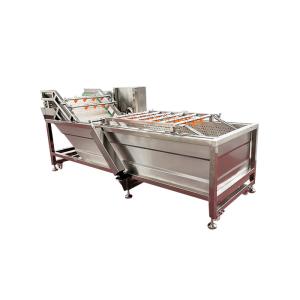 Air Bubble Ozone 500kg/H Vegetable Fruit Washing Machine