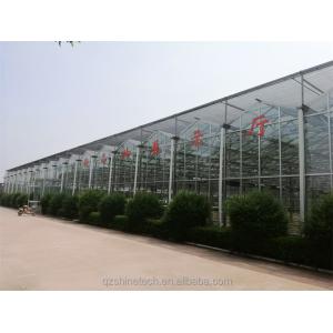 Large Agricultural Greenhouse with Galvanized Steel Frame and Optional Cooling