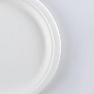 Round Disposable Plates Natural Sugarcane Bagasse Compostable Eco Friendly
