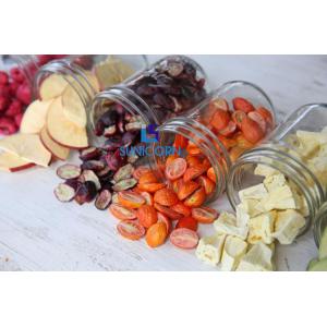 4Kg Small Freeze Dryer Mini Vacuum For Fruit Vegetable