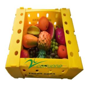 Corruone waterproof Fruit Vegetable Packing PP Cartonplast Grapes Packing Boxes