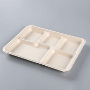 biodegradable tableware Rectangle 5 division meal snack Tray