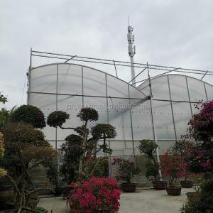 IGreen Tunnel Strawberry Greenhouses PE Greenhouse for Vegetable and Flower