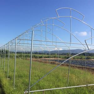 Thailand Multi Span Automatic Vent Greenhouse Electric Tropical Climate