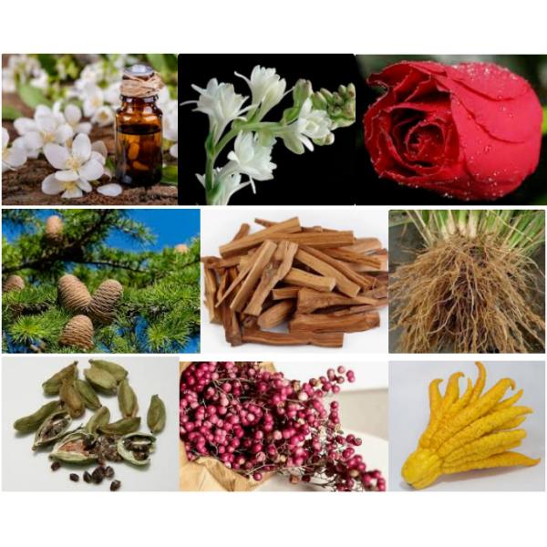 Top Concentrated Ar Mani Fragrance Essence For Perfume Fast Delivery