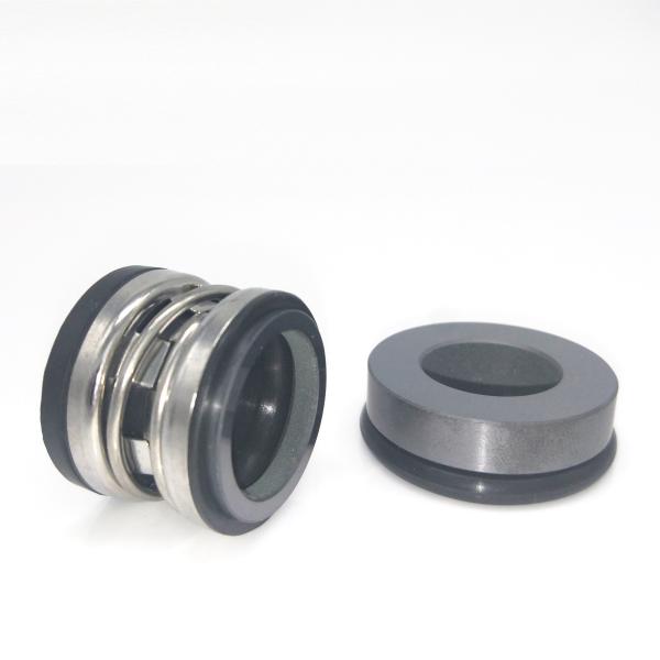 2100 Industrial Mechanical Seals Rubber Bellows Seal With G60 Seat