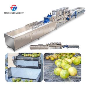 Passion fruit cleaning and drying sorting production line Fruit Vegetable FOOD