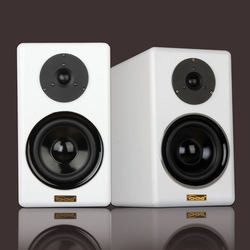 40W Passive Bluetooth Two Way Speaker Wireless Multipurpose