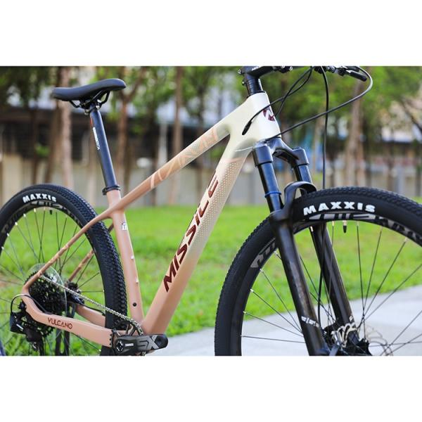 Hydraulic Disc Brake Alloy Mountain Bike with 29 Inch Big Wheels and 160mm Brake Pad