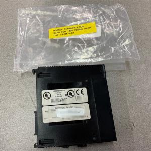 Quality IC200CHS111 GE I/O Interposing Relay Base (replaceable relays), fused (8 amps, replaceable), 16 points for sale