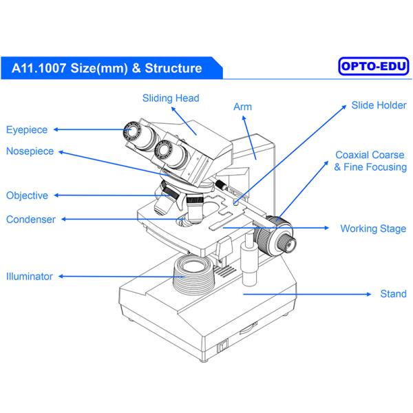 Laboratory Compound Xsz 107bn 1600x Biological Microscope