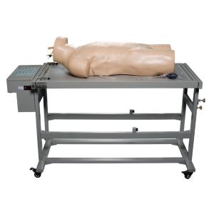 Comprehensive Puncture Clinical Simulation Various Postions for Hospitals