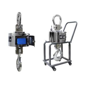 30T Overload Alarm Digital Crane Weighing Scale