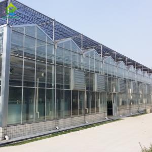 Venlo Commercial Polycarbonate PC Sheet Agricultural Large Tunnel Greenhouse