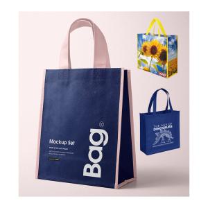 Quality Promotional Reusable Foldable PP Non Woven Shopping Bag for sale