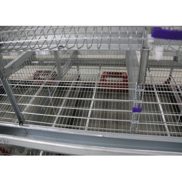Buy High Strength Layer Farming Equipment 160 Birds Capacity SONCAP Certification at wholesale prices