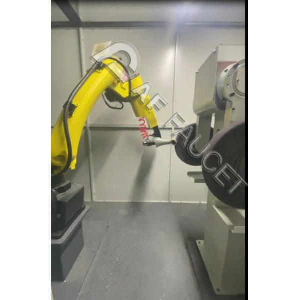 RTAF-RB02-Robot Automatic Brushing Machine, ABS Hand Shower Brushing Machine