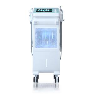 Customized Vertical 9 In 1 Facial Oxygen Hydro Dermabrasion Machine For Skin