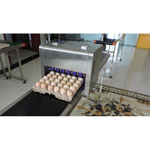 Nozzle Thermal Foam Type Egg Printing Machine With Six Heads And SGS Guarantee