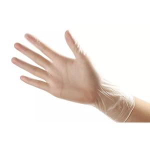 China PVC Powder Free Disposable Vinyl Gloves For Foodservice on sale