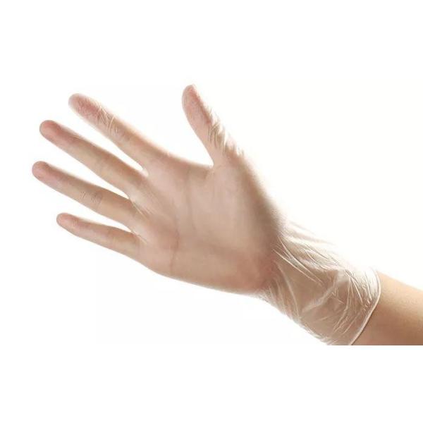 Buy PVC Powder Free Disposable Vinyl Gloves For Foodservice at wholesale prices