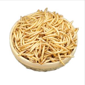 Quality FDA GMP+ Natural Dried Mealworms Fish Food Chickens Birds for sale