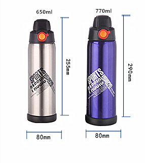 650ml 2019 new fashion Thermos Vacuum Insulated Compact sport Beverage Bottle black