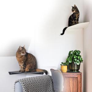 Wall-Mounted Cat Shelf Modern Metal Cat Room Seat with Pre-Drilled Installation