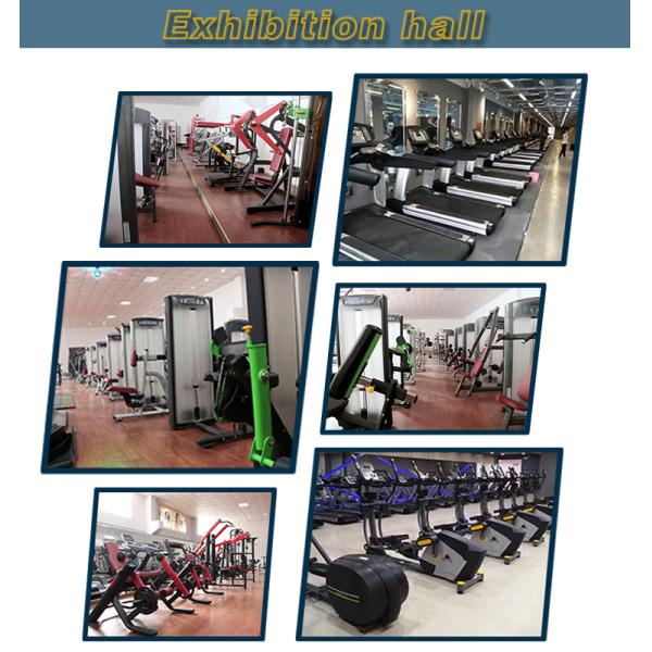 OEM Back Extension Gym Physical Workout Equipments