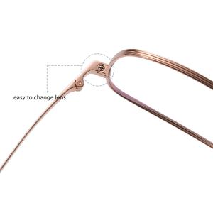 Optical Pure Titanium Eyewear Frames Skin Friendly with Removable Screws