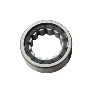 NU319 ECP Cylindrical Roller Bearing Used In Agricultural Machine NU319ECP