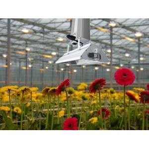 1000 Watt Indoor Garden Grow Lights With 6 - Phase Manual Dimming Function
