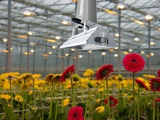 Buy 1000 Watt Indoor Garden Grow Lights With 6 - Phase Manual Dimming Function at wholesale prices