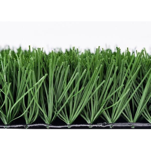 Buy 50mm Football Artificial Turf 160 Stitches/M Outdoor Fake Grass For Soccer Fields and outdoor activities with low maintenance at wholesale prices