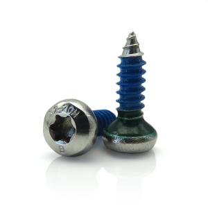 Torx Thread Locking Screw Self Tapping Special Screw With Steel And Nylon Patch