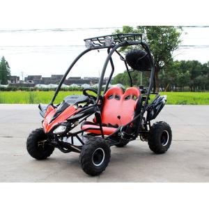 Quality 125cc Single Cylinder 2 Seater Go Kart 4 Storke 154FMI With 3L Tank for sale