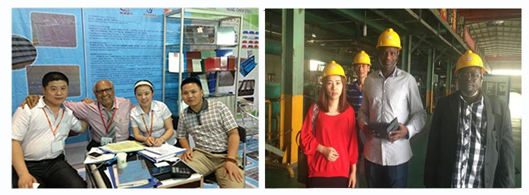 DX51D 40-275g/M2 Zinc Coating Hot Dipped Galvanized Coil HDGI